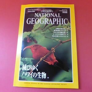 g1-230214☆NATIONAL GEOGRAPHIC 日本版 1995年9月号 ナショナルジオグラフィック　付録付き