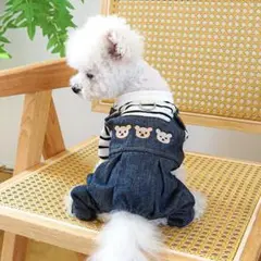 愛犬わんちゃん：ベアヘッドジーンズ〔navy＆白ストライプ、サイズM〕【新品】