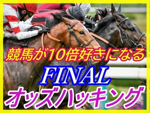 競馬が10倍おもしろくなる FANALオッズハッキング 的中率７０％を叩き出す！付録ソフト付！投資 オリジナルソフト 副業 サポート 初心者