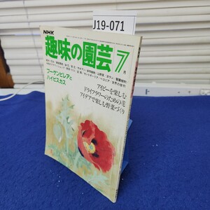 J19-071 NHK趣味の園芸 昭和56年7月号 ブーゲンビリアとハイビスカス他