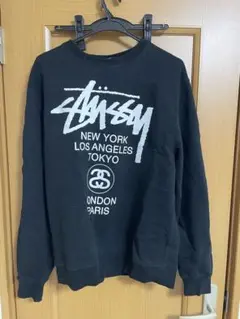 STUSSY ステューシー トレーナー