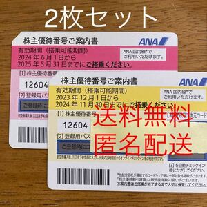 全日空 ANA 株主優待 2枚セット