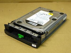 ▽Western Digital WD1003FBYX-50Y7B1 1TB SATA 3.5型 7200rpm WD RE4 中古 富士通 PGBHDF17D