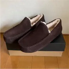 UGG アスコットASCOT エスプレッソ　新品 メンズ