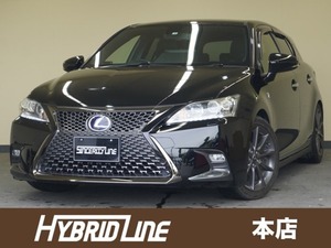 CT 200h Fスポーツ スピンドルグリル 10インチナビ 車高調