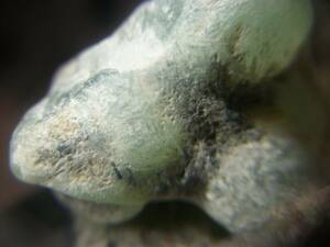 外国産鉱物　クリソプレーズ　緑玉髄 グリーンカルセドニー 原石　２個　定型外発送