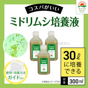 高コスパ【ミドリムシ培養液　300ml　30L培養分　送料無料】メダカ めだか 金魚 ミジンコ　ゾウリムシ　クロレラ　 針子　PSB 培養に