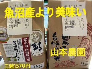 R6年産新米　農家直売　魚沼産より美味いＳランク　新米コシヒカリ　　うどん県 男米 白米３kg 　全国送料無料