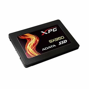 ADATA Technology XPG SX950 SSD 960GB ASX950SS-960GM-C