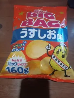 BIG BAG うすしお味 160g