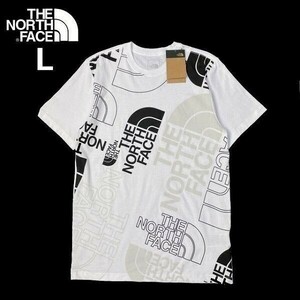 1円～!売切!【正規新品】THE NORTH FACE◆S/S GRAPHIC INJECTION TEE 半袖 Tシャツ US限定 グラフィック 男女兼用 キャンプ(L)白 180902-15