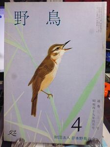 野鳥 331号　今月の鳥・キョウジョシギ　谷保天神鷽替　中村幸雄氏を悼む・中西悟堂　全国干潟一斉調査まとまる　探鳥会のあり方と技術