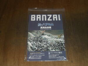 ボンサイゲームズ　BANZAIマガジン　14号　続・八甲田山: 黒溝台会戦　特化品　ゲーム未使用　