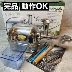 ANGEL JUICER エンジェルジューサー AG7500 ステンレス 低速圧縮