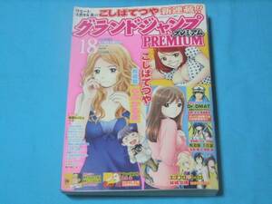 ★中古■グランドジャンププレミアムVOL.18　■表紙 巻頭カラー らぶかるま