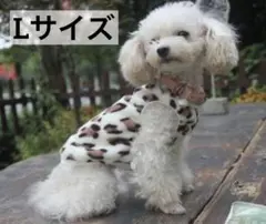 可愛い ペット犬服 防寒 小型犬 春秋冬 ウェア ペット L ヒョウ柄