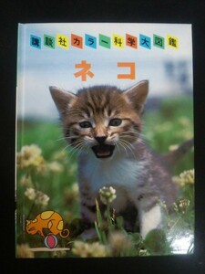 Ba4 00501 講談社カラー科学大図鑑 ネコ 著:今泉忠明 昭和61年1月21日第9刷発行 講談社