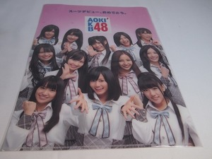 ★非売品★ＡＫＢ４８■クリアファイル★未使用品★