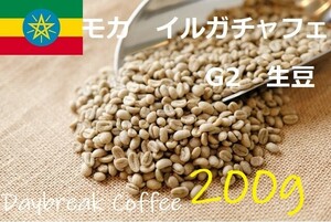 コーヒー生豆　モカイルガチャフェG2　ウオッシュド 200ｇ 送料無料　グリーンビーンズ