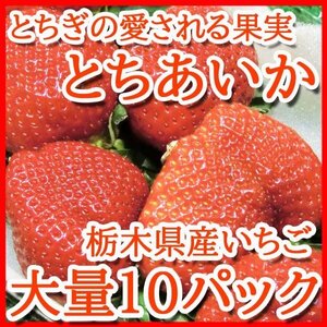 【Good】たっぷり10パック入り！！大量5箱！新品種 栃木県産オリジナル いちご『とちあいか』ご予約