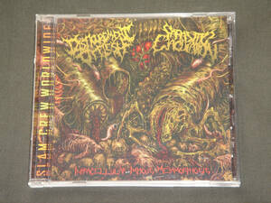 DISFIGUREMENT OF FLESH/PARASITIC EJACULATION/INTRACELLULAR IMPIOUS METAMORPHOSIS/スラミング・ブルータル・デス・メタル/TRAUMATOMY