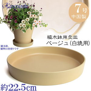 植木鉢用受皿 おしゃれ 安い 陶器 サイズ 22.5cm KN1228 7号 ベージュ 室内 屋外 白 色