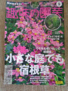 NHK■2024/9月■趣味の園芸