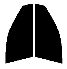 ライトスモーク　５０％　運転席、助手席　アヴァンシア　TA1・2・3・4　カット済みフィルム