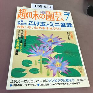 C55-029 NHK趣味の園芸 7 こけ玉とミニ盆栽 モネが愛したスイレン 他 2004 インデックス有り