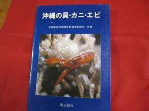 ☆沖縄の貝　・　カニ　・　エビ　　　　　　　　　【沖縄・琉球・自然・生物・動物・図鑑】