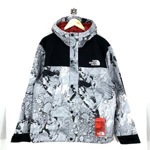 【日本未発売】THE NORTH FACE METRO MOUNTAIN JACKET M 月面 メトロ マウンテン ジャケット パーカー 1996 moon ノースフェイス