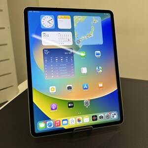 【新品同等品！】12.9インチ iPad Pro 第6世代 Wi-Fi＋Cellularモデル 2TB NP273J/A シルバー 極美品！即決あり！ 充放電回数0回！