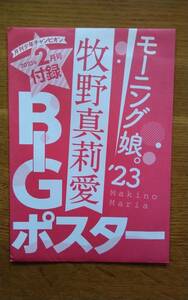 牧野真莉愛　月刊少年チャンピオン　BIGポスター