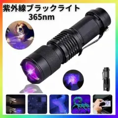 ブラックライト 紫外線 LED 小型 レジン UV ネイル 365nm