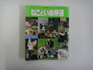 なB-３０　実用特選シリーズ　かわいいねこといぬ特選　写真集・飼い方、育て方・おもしろ情報