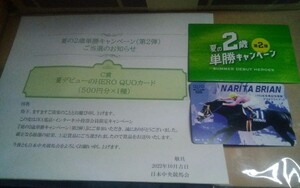 ★当選品 未使用 ナリタブライアン JRA 競馬 公式 1994年 有馬記念 優勝 クオカード500 懸賞 夏デビュー ヒーロー 名馬 希少 プレゼント