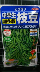 ３袋セット 中早生 超多収 枝豆 とびきり エダマメ 種 郵便は送料無料