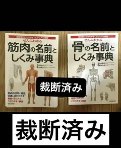 【裁断済み】ぜんぶわかる筋肉の名前としくみ事典　ぜんぶわかる骨の名前としくみ事典