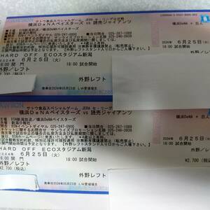 6/25（火）ハードオフエコスタジアム新潟　横浜対巨人　外野レフト最前列　ペア