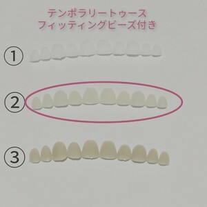 テンポラリートゥース 仮歯　差し歯　入れ歯　フィッティングビーズ付②