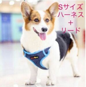 SurePet 小型犬 Sサイズ ハーネス リード付き 胴輪 犬 イヌ いぬ わんちゃん わんこ ワンコ