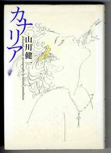 【b2580】1993年 カナリア／山川健一