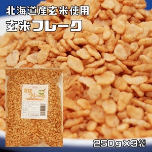 玄米フレーク 250g×3袋 北海道産 素材にこだわった本格シリアル 朝食 げんまい グラノーラ 保存料無し 無着色 砂糖なし