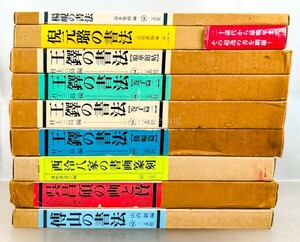 二玄社 中国書家作品集 9冊 王鐸/呉昌碩/傳山/倪元路/楊けん/西冷八家 中国 書道 資料 研究 書籍 古書 古本 20240616-21