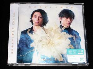 KinKi Kids♪道は手ずから夢の花♪【初回盤Ｂ】【新品未開封】クリアファイル&ＤＶＤ付