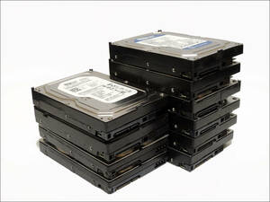 3.5インチHDD 160GB SATA 10台セット【B】 #12387