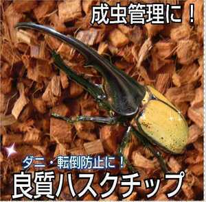 カブトムシ・クワガタの成虫飼育に最適　ハスクチップ【10リットル】転倒防止・消臭・保水性に優れダニ防止にも抜群！　無農薬厳選素材使用