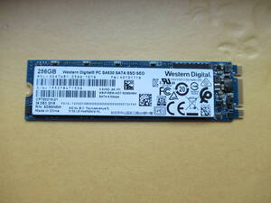 ★☆1円 ～スタート☆WDC SA530 SATA SSD M.2 2280 256GB 使用時間:8578H☆★