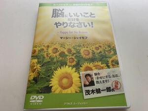 【ＤＶＤ】マーシー・シャイモフ　脳にいいことだけをやりなさい！ Ｈａｐｐｙ　ｆｏｒ　Ｎｏ　Ｒeason