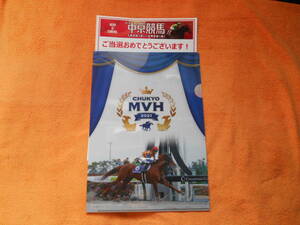 テーオーケインズ クリアファイル 中京競馬場 JRA 競馬